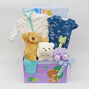 B315 男嬰兒禮物籃